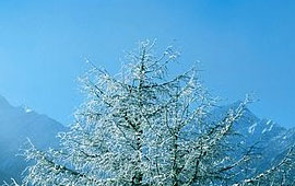 虚拟号码外呼软件